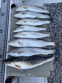 River Road Report Photo 2