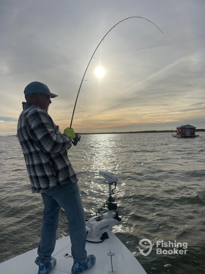Corpus Christi Report Photo 0