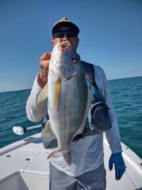 Yankeetown Report Photo 2