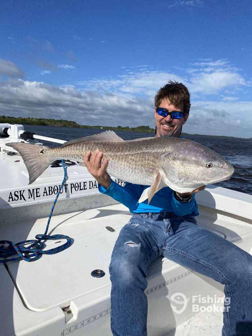 Port Orange Report Photo 0