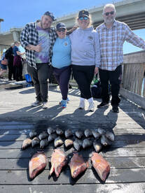 Belleair Bluffs Report Photo 2