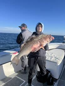 Big red grouper