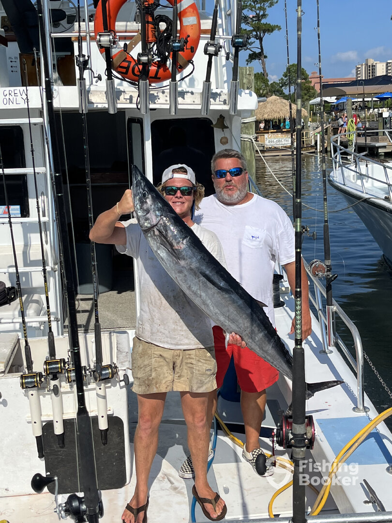 Orange Beach Report Photo 0