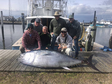 Nags Head Report Photo 2