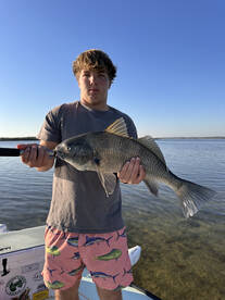 New Smyrna Beach Report Photo 1