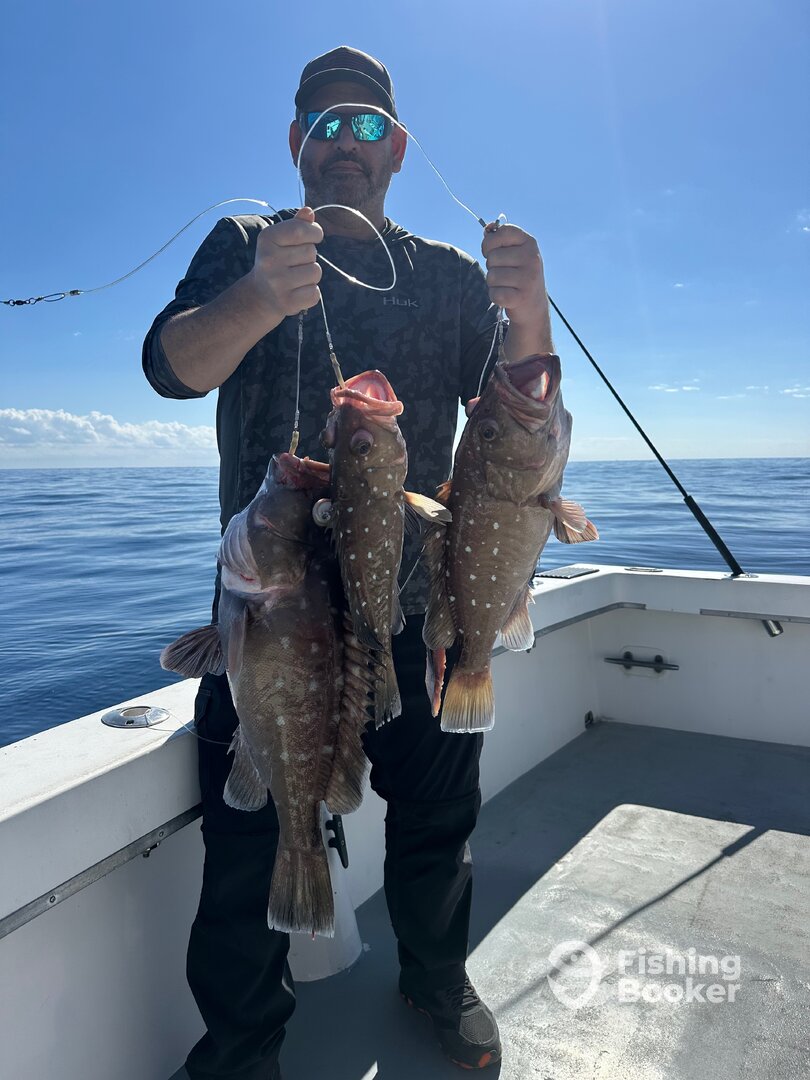 Dania Beach Report Photo 0
