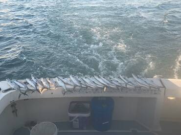 Port Canaveral Report Photo 2