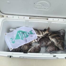 Spring Break fishig fun for the entire f