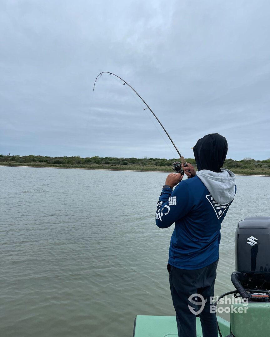 South Padre Island Report Photo 0
