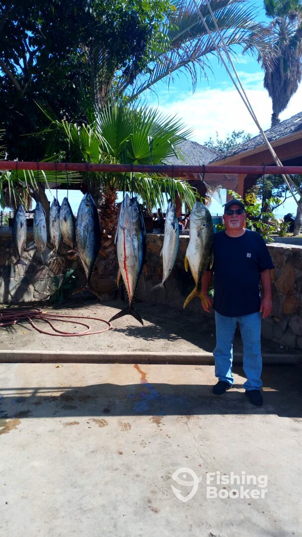 San Jose del Cabo Report Photo 0