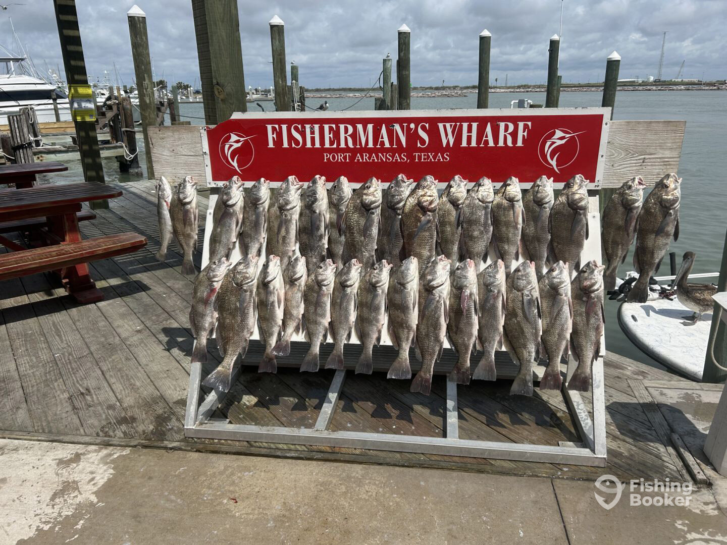Port Aransas Report Photo 0