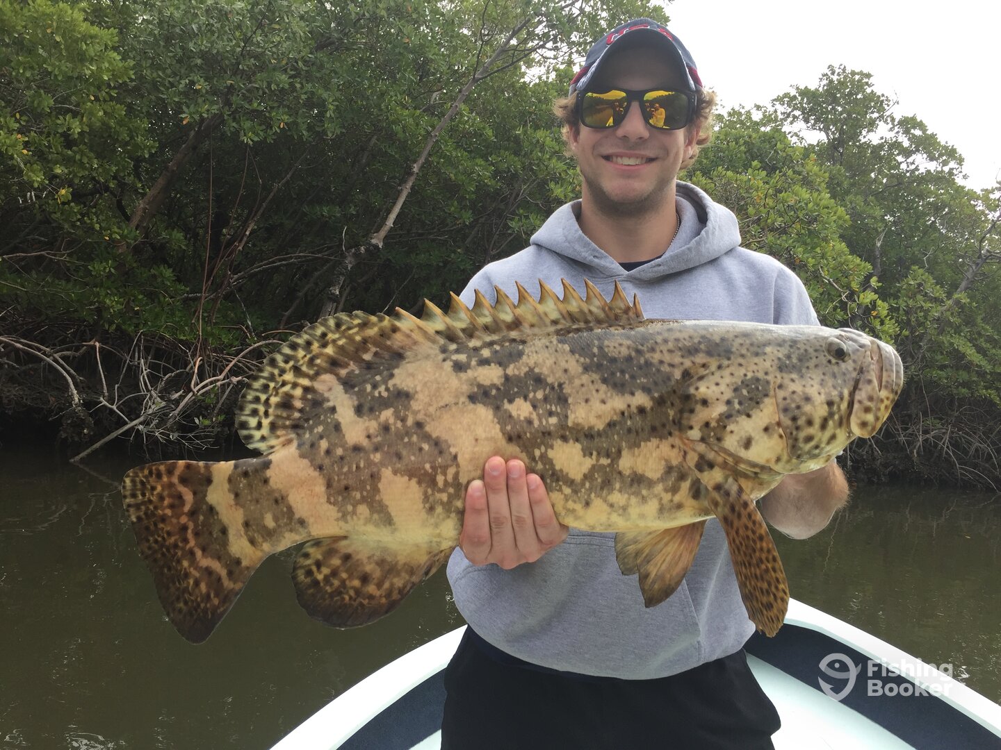 Naples Report Photo 0