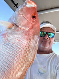 Port Douglas Report Photo 2