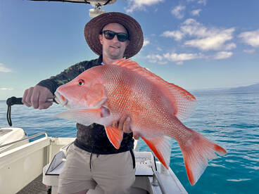 Port Douglas Report Photo 1