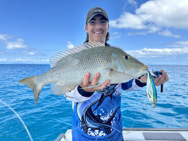 Port Douglas Report Photo 2