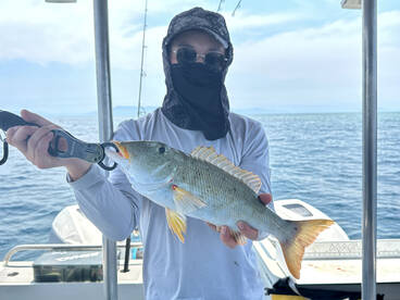 Port Douglas Report Photo 1