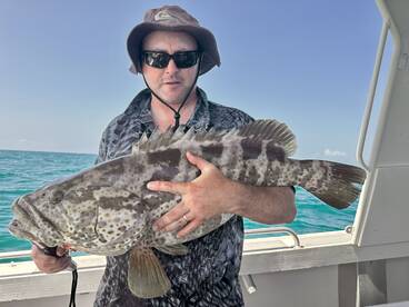 Port Douglas Report Photo 2