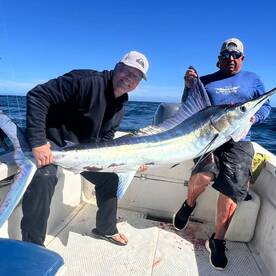 The marlin. They are biting a lot