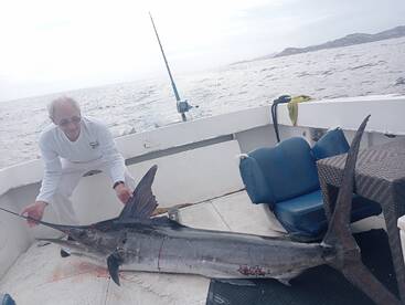 San Jose del Cabo Report Photo 1