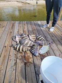 Orange Beach Report Photo 1