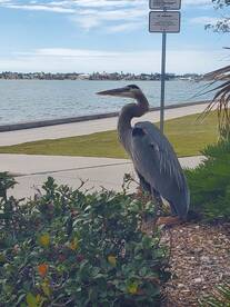 Making those memories