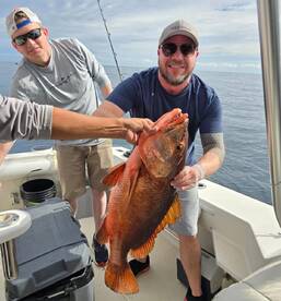 San Jose del Cabo Report Photo 2