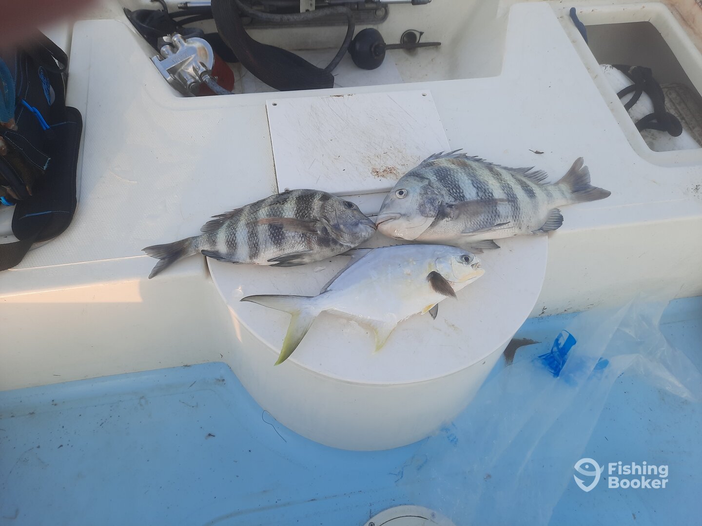Port Canaveral Report Photo 0