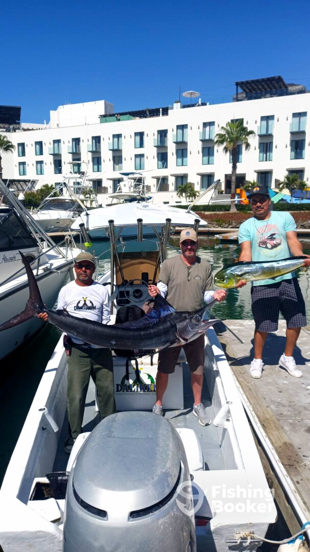 San Jose del Cabo Report Photo 0