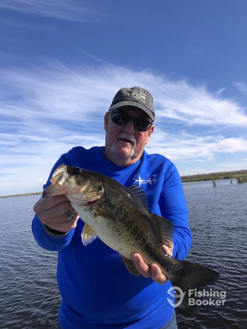 Palm Bay Report Photo 0