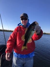 Palm Bay Report Photo 2