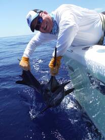 Quepos Report Photo 1