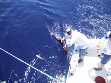 Quepos Report Photo 2