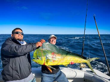Cabo San Lucas Report Photo 2