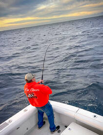 Cabo San Lucas Report Photo 1