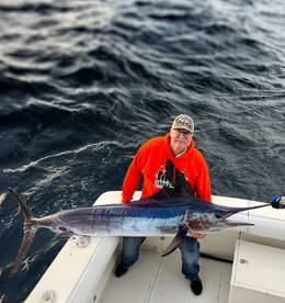 Released a majestic striped marlin back