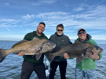 Big Black Drums are on the prowl! 