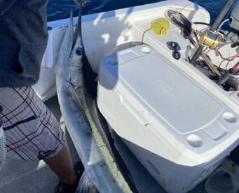 San Jose del Cabo Report Photo 2