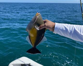 San Jose del Cabo Report Photo 1