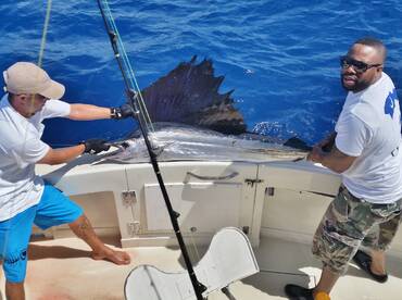 Sailfish in Miami 