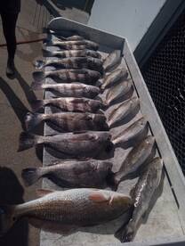 Texas City Report Photo 2