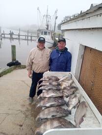 Texas City Report Photo 1
