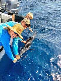 Top Sailfish Tagging Captain in the Atla