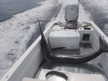 San Jose del Cabo Report Photo 2