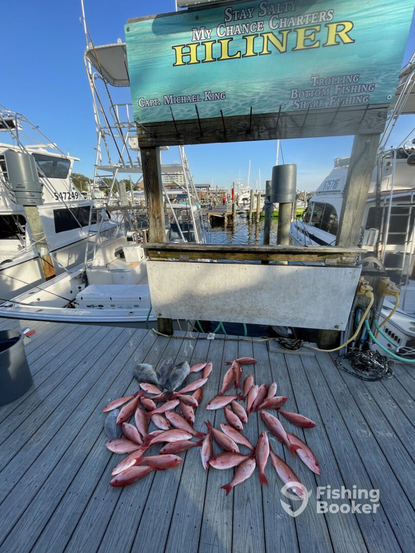 Destin Report Photo 0