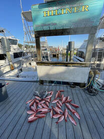 Great spring fishing! 