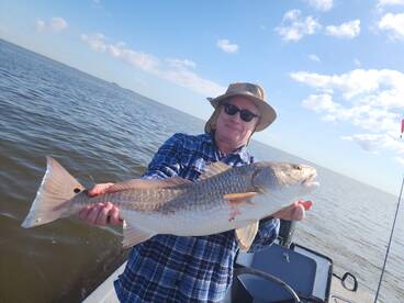 Galveston Report Photo 2