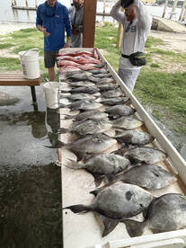 Jacksonville Report Photo 1