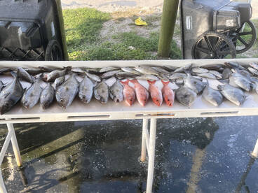 Jacksonville Report Photo 2