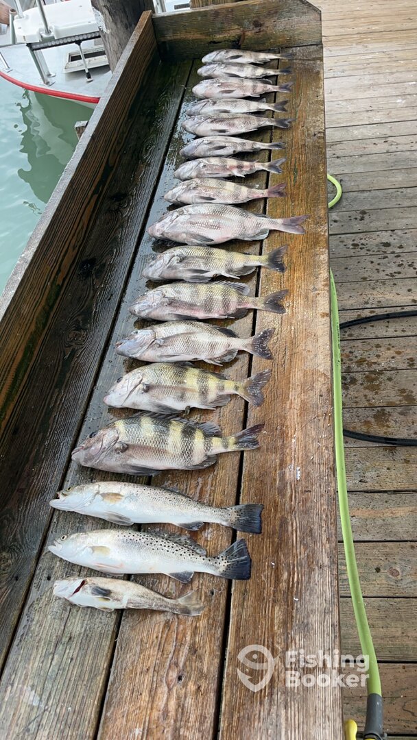 South Padre Island Report Photo 0