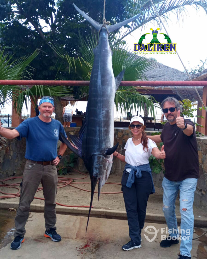 San Jose del Cabo Report Photo 0